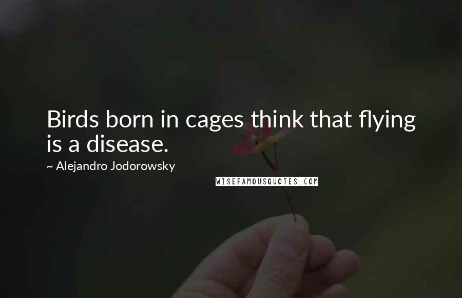 Alejandro Jodorowsky Quotes: Birds born in cages think that flying is a disease.