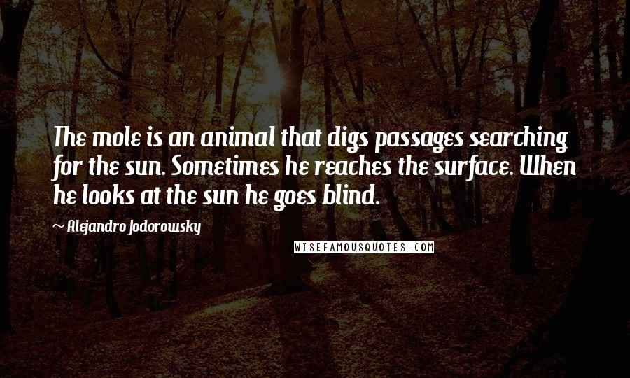 Alejandro Jodorowsky Quotes: The mole is an animal that digs passages searching for the sun. Sometimes he reaches the surface. When he looks at the sun he goes blind.