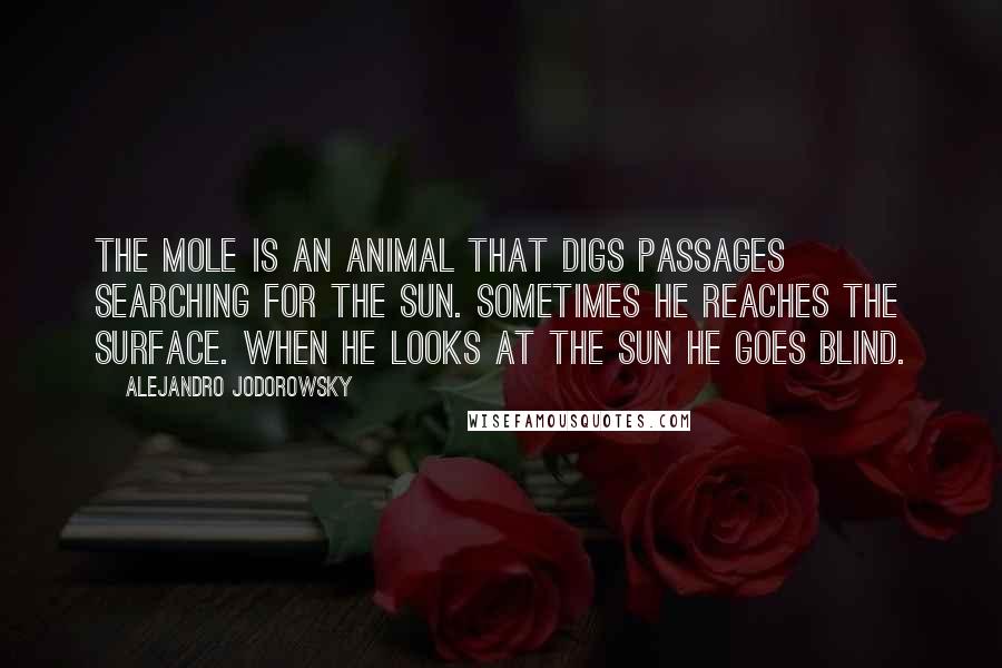 Alejandro Jodorowsky Quotes: The mole is an animal that digs passages searching for the sun. Sometimes he reaches the surface. When he looks at the sun he goes blind.