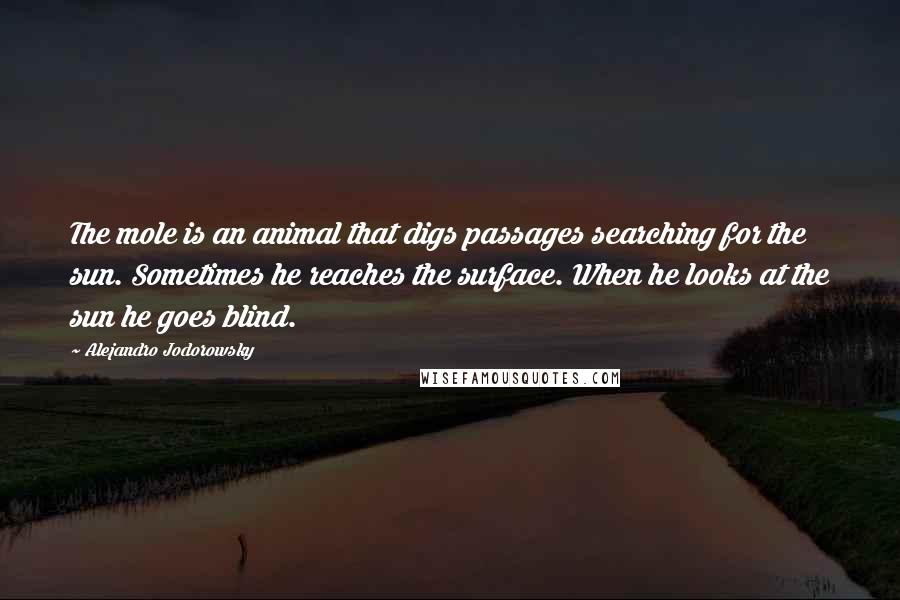 Alejandro Jodorowsky Quotes: The mole is an animal that digs passages searching for the sun. Sometimes he reaches the surface. When he looks at the sun he goes blind.