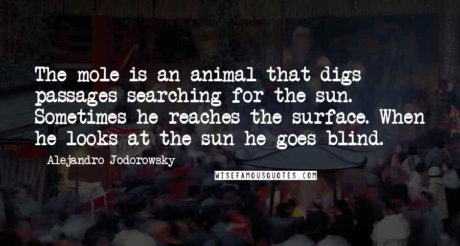 Alejandro Jodorowsky Quotes: The mole is an animal that digs passages searching for the sun. Sometimes he reaches the surface. When he looks at the sun he goes blind.