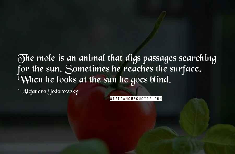 Alejandro Jodorowsky Quotes: The mole is an animal that digs passages searching for the sun. Sometimes he reaches the surface. When he looks at the sun he goes blind.