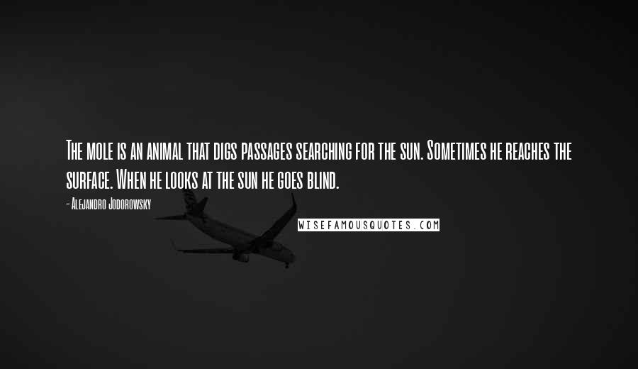 Alejandro Jodorowsky Quotes: The mole is an animal that digs passages searching for the sun. Sometimes he reaches the surface. When he looks at the sun he goes blind.