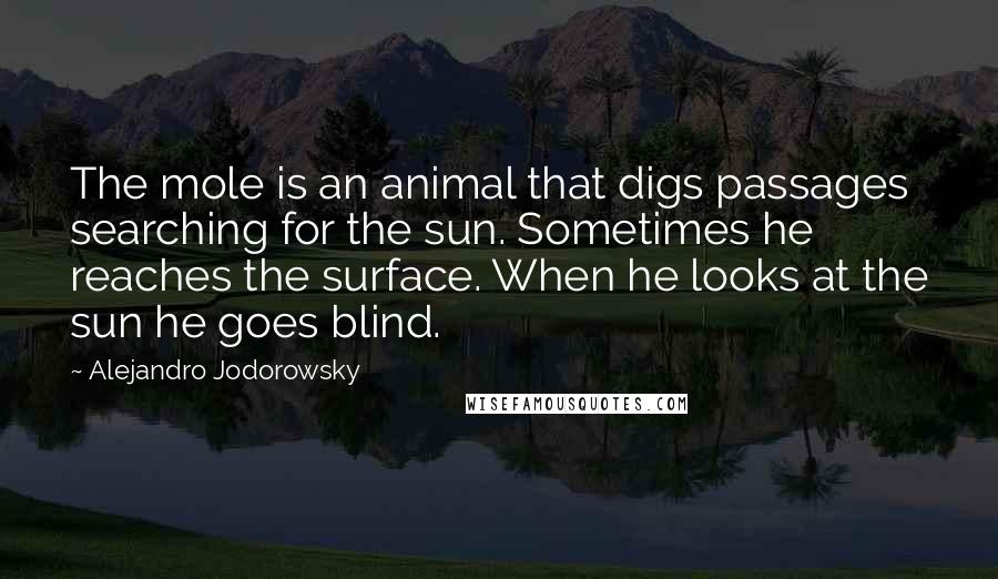 Alejandro Jodorowsky Quotes: The mole is an animal that digs passages searching for the sun. Sometimes he reaches the surface. When he looks at the sun he goes blind.