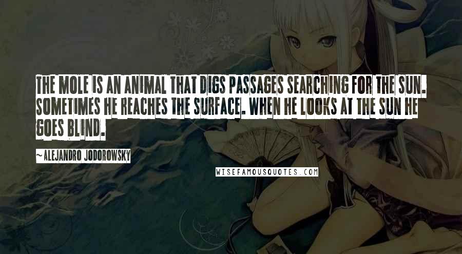 Alejandro Jodorowsky Quotes: The mole is an animal that digs passages searching for the sun. Sometimes he reaches the surface. When he looks at the sun he goes blind.