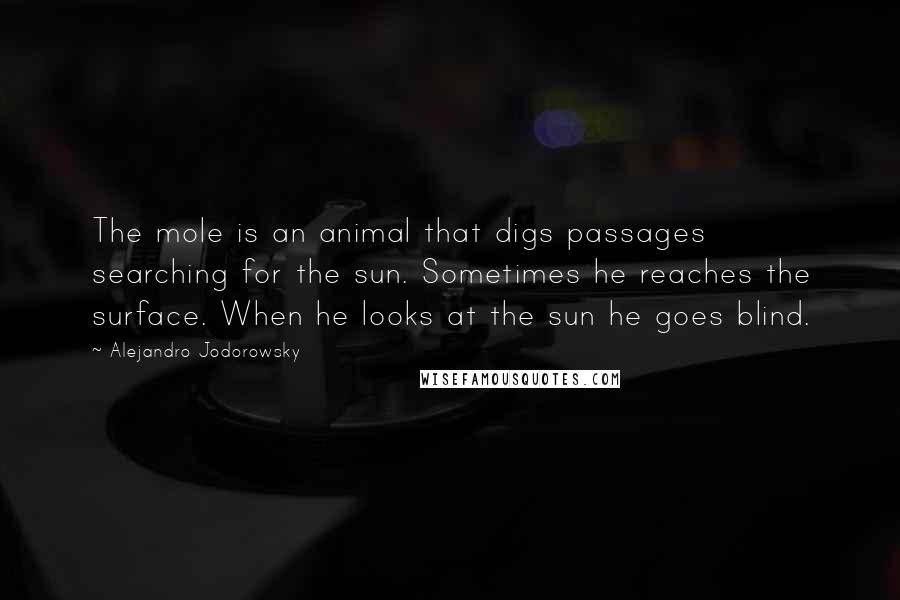 Alejandro Jodorowsky Quotes: The mole is an animal that digs passages searching for the sun. Sometimes he reaches the surface. When he looks at the sun he goes blind.