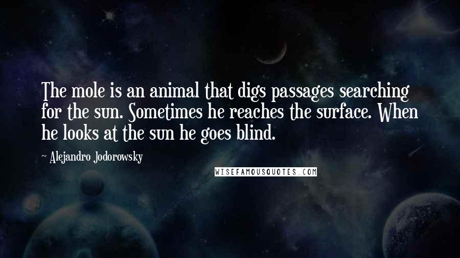 Alejandro Jodorowsky Quotes: The mole is an animal that digs passages searching for the sun. Sometimes he reaches the surface. When he looks at the sun he goes blind.