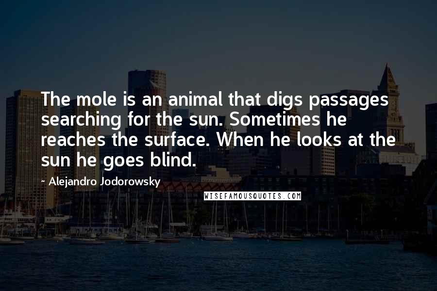 Alejandro Jodorowsky Quotes: The mole is an animal that digs passages searching for the sun. Sometimes he reaches the surface. When he looks at the sun he goes blind.