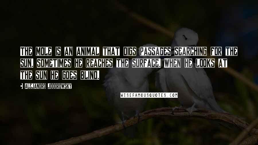 Alejandro Jodorowsky Quotes: The mole is an animal that digs passages searching for the sun. Sometimes he reaches the surface. When he looks at the sun he goes blind.