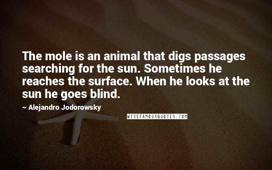 Alejandro Jodorowsky Quotes: The mole is an animal that digs passages searching for the sun. Sometimes he reaches the surface. When he looks at the sun he goes blind.