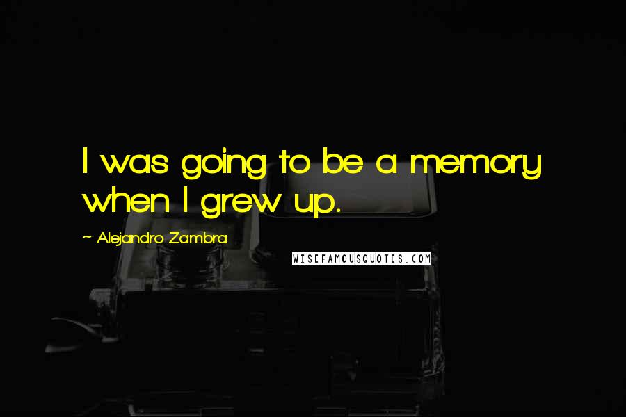 Alejandro Zambra Quotes: I was going to be a memory when I grew up.