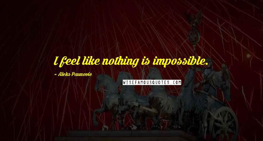 Aleks Paunovic Quotes: I feel like nothing is impossible.