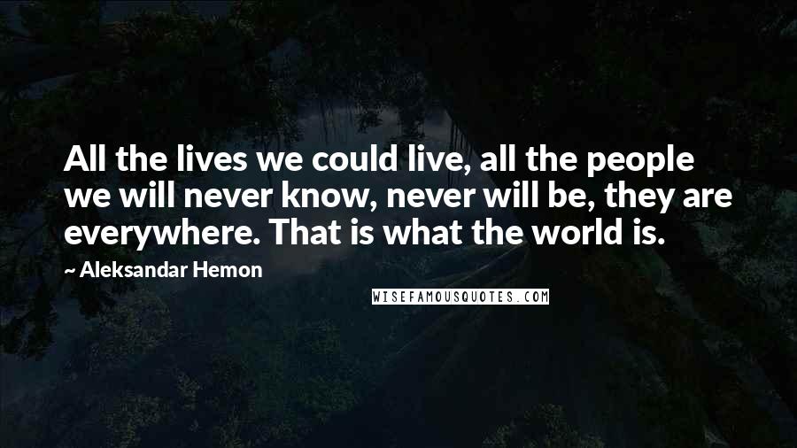 Aleksandar Hemon Quotes: All the lives we could live, all the people we will never know, never will be, they are everywhere. That is what the world is.