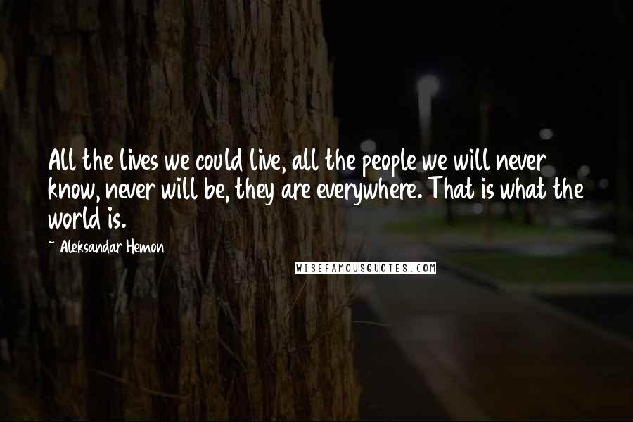 Aleksandar Hemon Quotes: All the lives we could live, all the people we will never know, never will be, they are everywhere. That is what the world is.