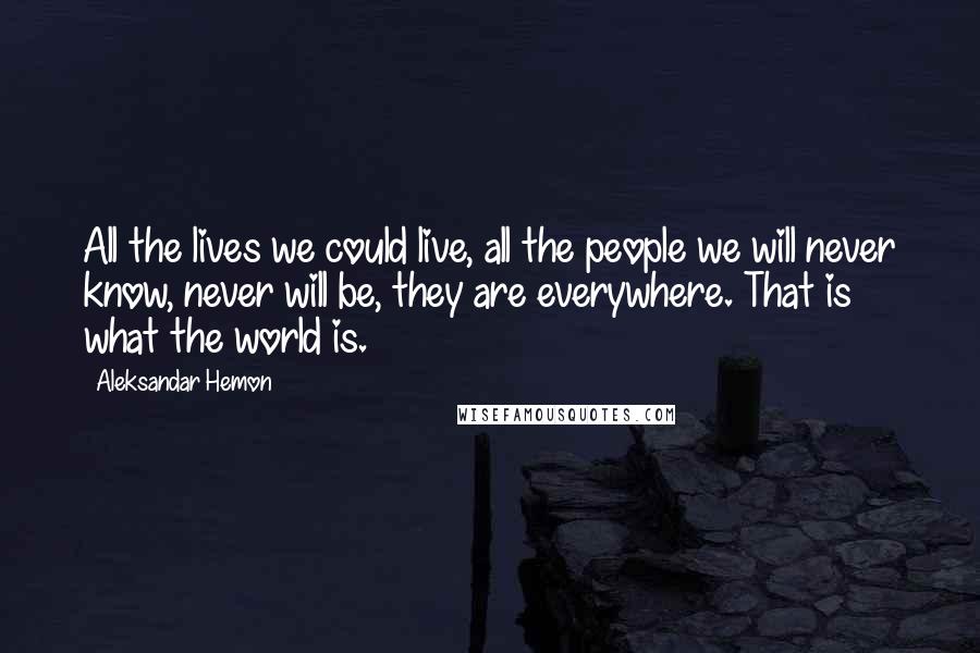 Aleksandar Hemon Quotes: All the lives we could live, all the people we will never know, never will be, they are everywhere. That is what the world is.