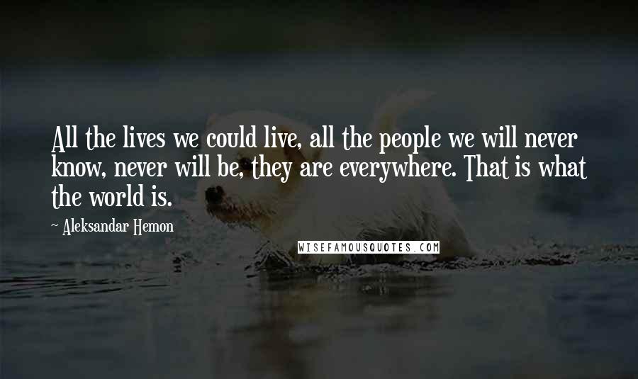 Aleksandar Hemon Quotes: All the lives we could live, all the people we will never know, never will be, they are everywhere. That is what the world is.