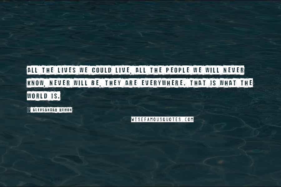 Aleksandar Hemon Quotes: All the lives we could live, all the people we will never know, never will be, they are everywhere. That is what the world is.