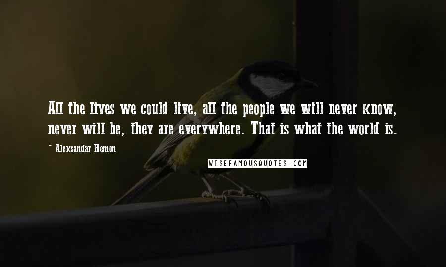 Aleksandar Hemon Quotes: All the lives we could live, all the people we will never know, never will be, they are everywhere. That is what the world is.