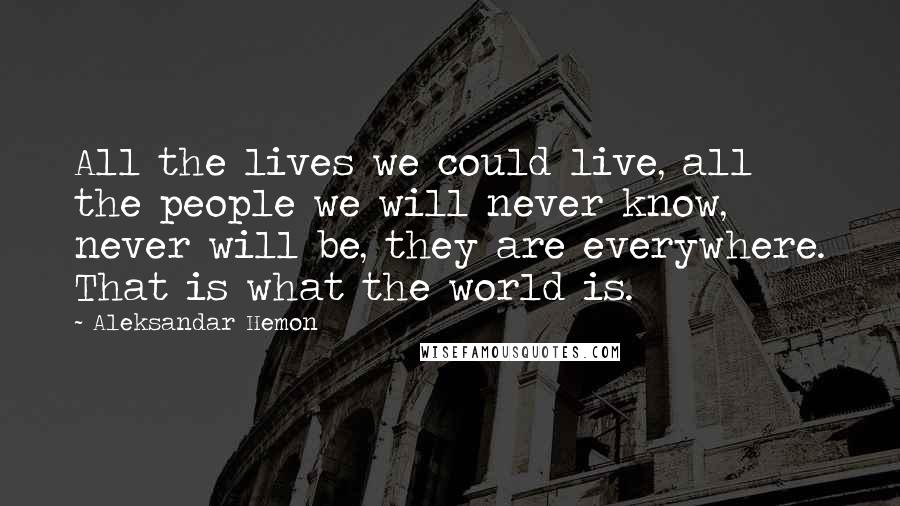 Aleksandar Hemon Quotes: All the lives we could live, all the people we will never know, never will be, they are everywhere. That is what the world is.