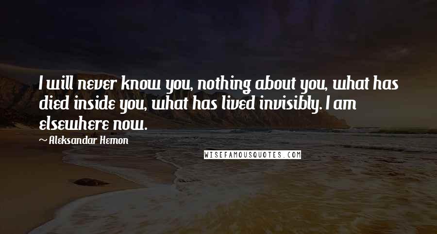 Aleksandar Hemon Quotes: I will never know you, nothing about you, what has died inside you, what has lived invisibly. I am elsewhere now.