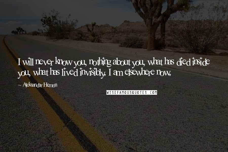 Aleksandar Hemon Quotes: I will never know you, nothing about you, what has died inside you, what has lived invisibly. I am elsewhere now.