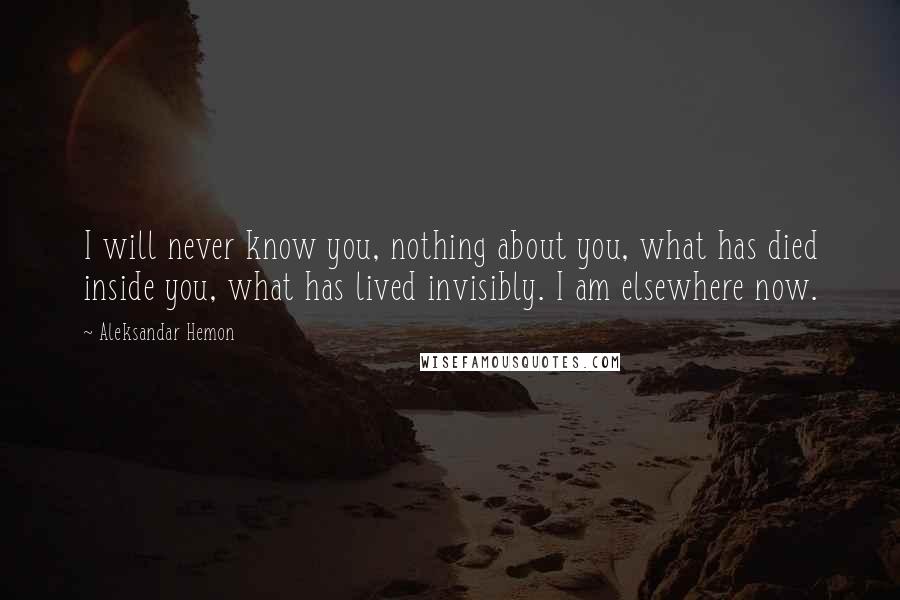 Aleksandar Hemon Quotes: I will never know you, nothing about you, what has died inside you, what has lived invisibly. I am elsewhere now.