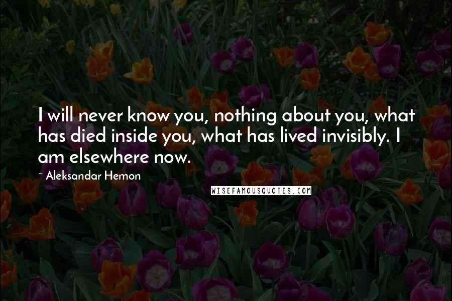 Aleksandar Hemon Quotes: I will never know you, nothing about you, what has died inside you, what has lived invisibly. I am elsewhere now.
