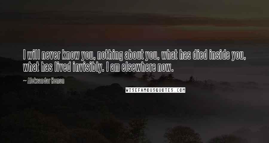 Aleksandar Hemon Quotes: I will never know you, nothing about you, what has died inside you, what has lived invisibly. I am elsewhere now.
