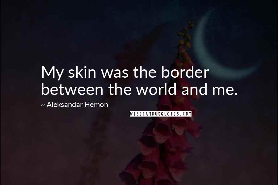 Aleksandar Hemon Quotes: My skin was the border between the world and me.