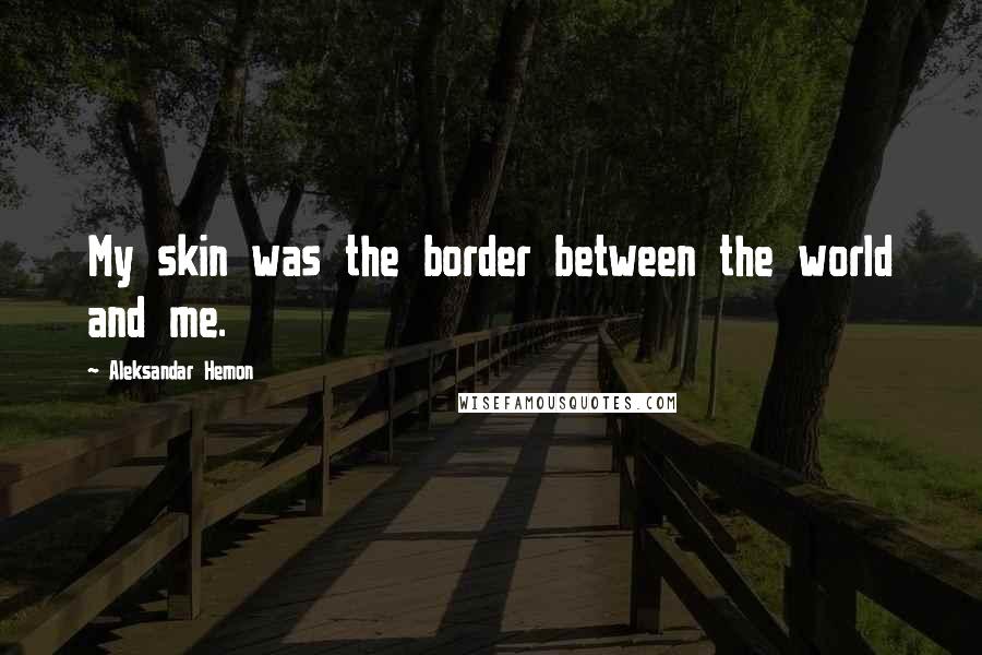 Aleksandar Hemon Quotes: My skin was the border between the world and me.