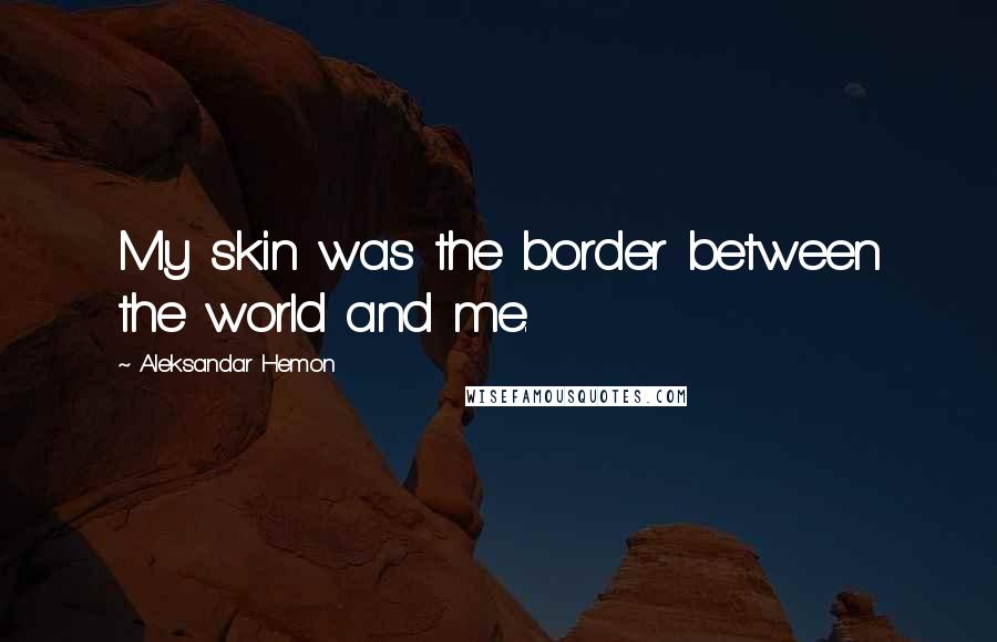 Aleksandar Hemon Quotes: My skin was the border between the world and me.