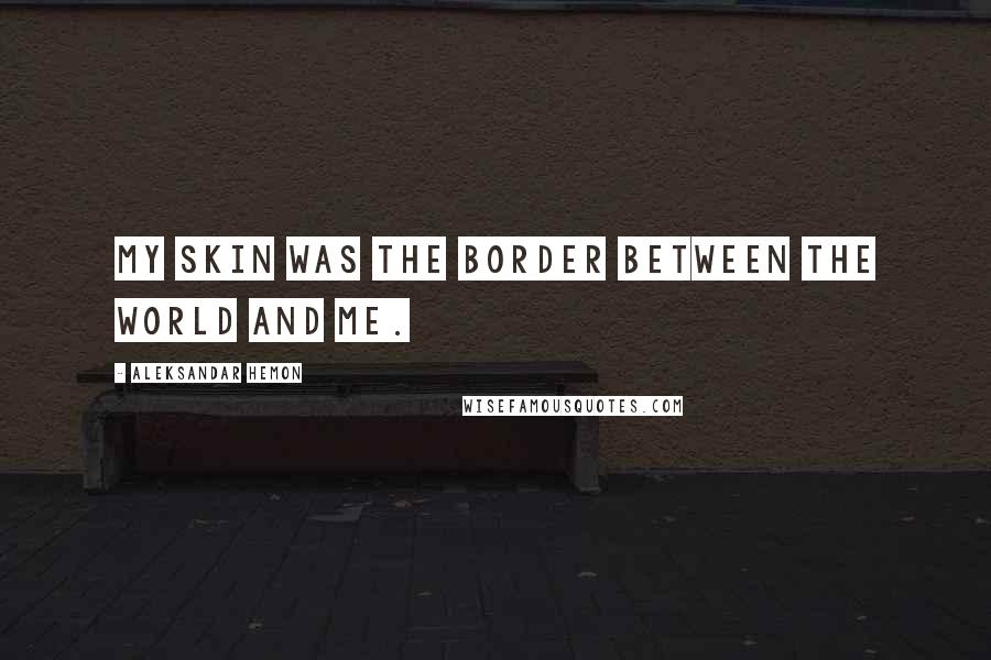 Aleksandar Hemon Quotes: My skin was the border between the world and me.