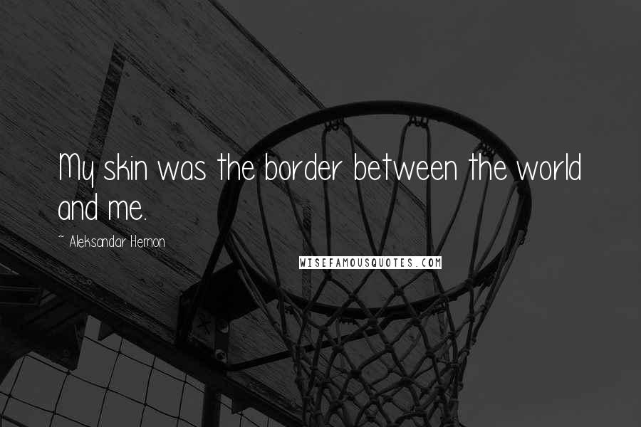 Aleksandar Hemon Quotes: My skin was the border between the world and me.