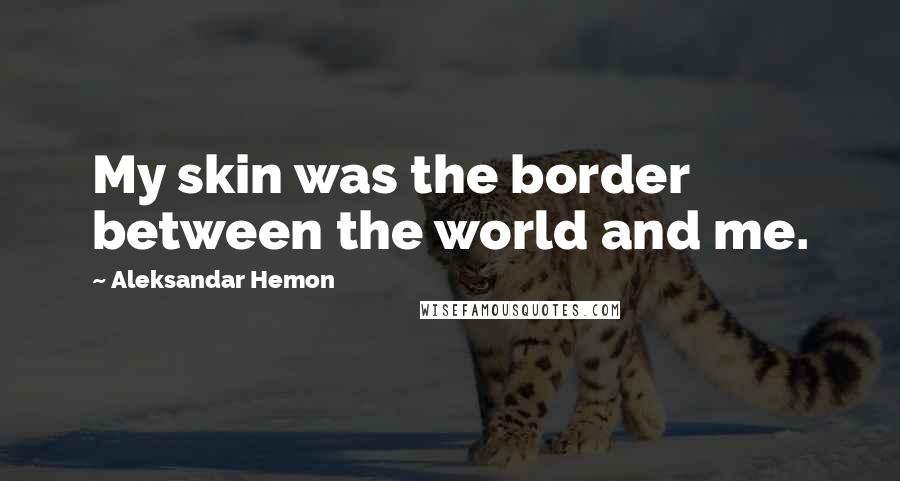 Aleksandar Hemon Quotes: My skin was the border between the world and me.