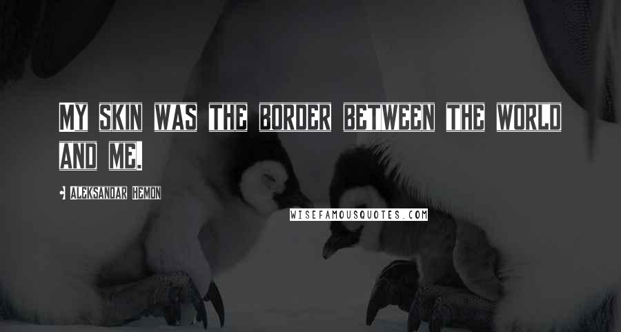 Aleksandar Hemon Quotes: My skin was the border between the world and me.