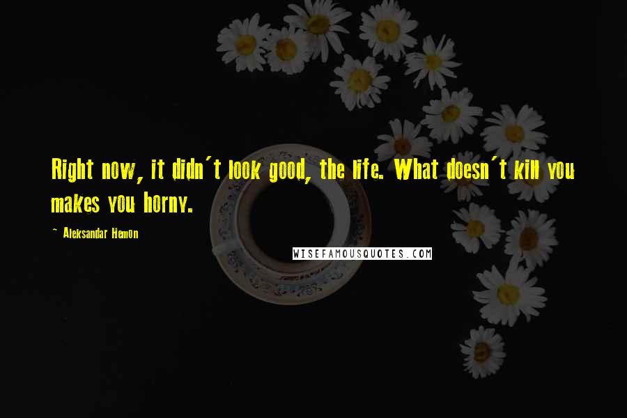 Aleksandar Hemon Quotes: Right now, it didn't look good, the life. What doesn't kill you makes you horny.
