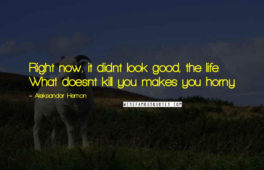 Aleksandar Hemon Quotes: Right now, it didn't look good, the life. What doesn't kill you makes you horny.