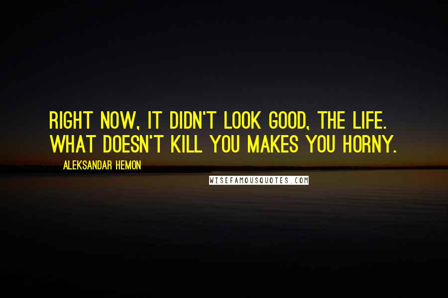 Aleksandar Hemon Quotes: Right now, it didn't look good, the life. What doesn't kill you makes you horny.