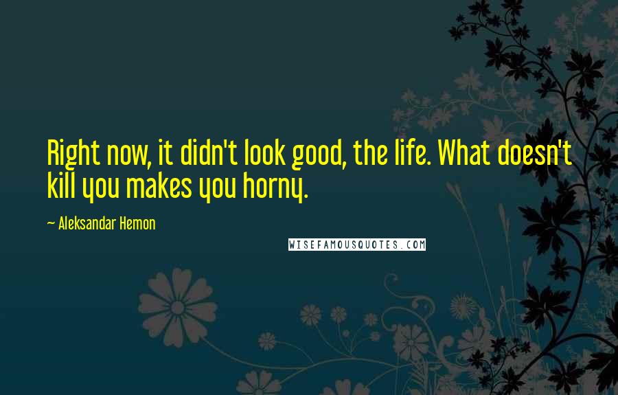 Aleksandar Hemon Quotes: Right now, it didn't look good, the life. What doesn't kill you makes you horny.