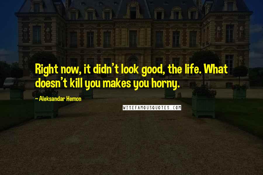 Aleksandar Hemon Quotes: Right now, it didn't look good, the life. What doesn't kill you makes you horny.