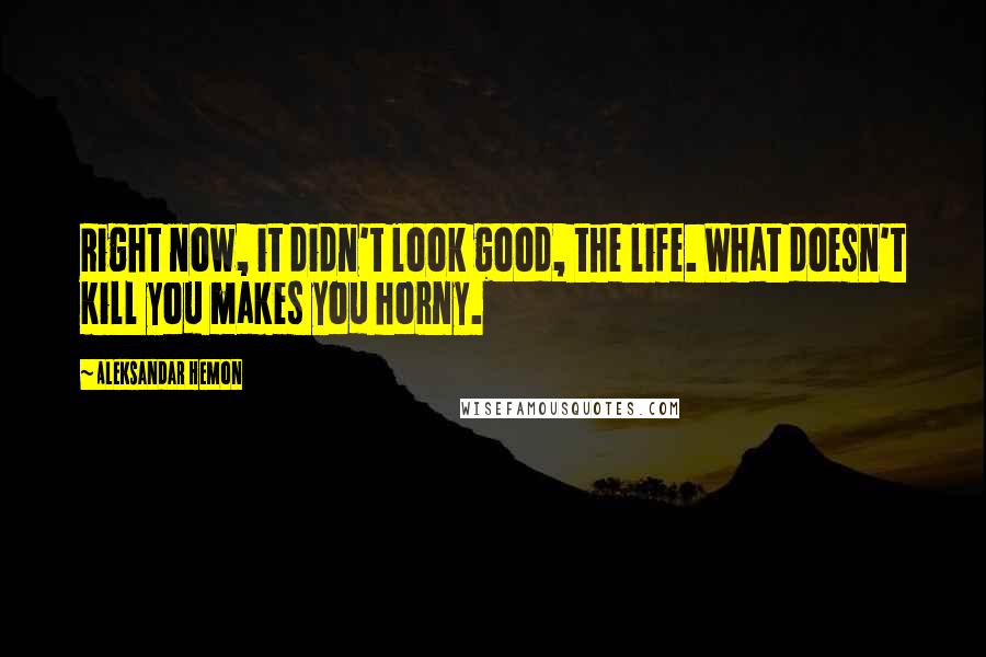 Aleksandar Hemon Quotes: Right now, it didn't look good, the life. What doesn't kill you makes you horny.