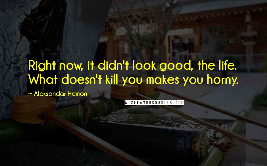 Aleksandar Hemon Quotes: Right now, it didn't look good, the life. What doesn't kill you makes you horny.