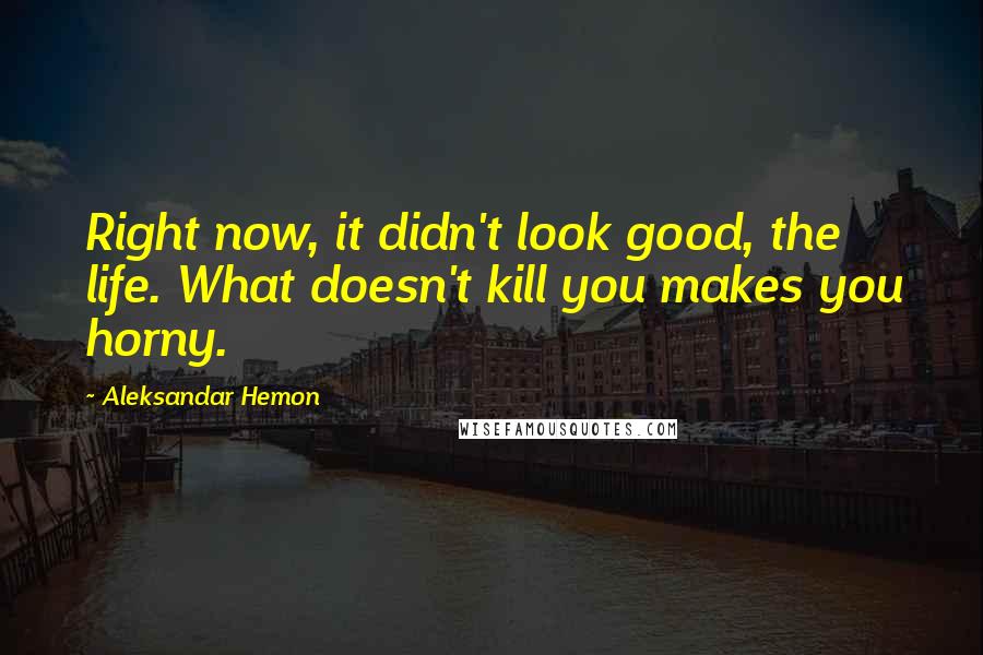 Aleksandar Hemon Quotes: Right now, it didn't look good, the life. What doesn't kill you makes you horny.