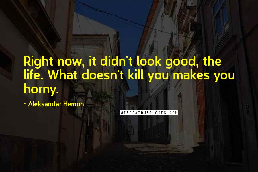 Aleksandar Hemon Quotes: Right now, it didn't look good, the life. What doesn't kill you makes you horny.