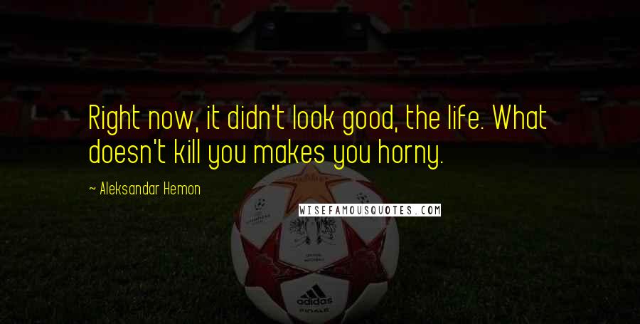 Aleksandar Hemon Quotes: Right now, it didn't look good, the life. What doesn't kill you makes you horny.