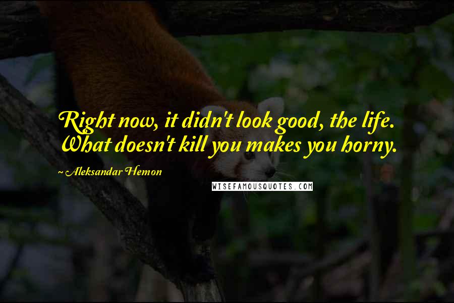 Aleksandar Hemon Quotes: Right now, it didn't look good, the life. What doesn't kill you makes you horny.