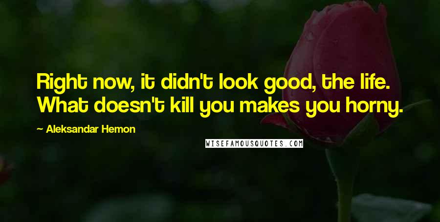 Aleksandar Hemon Quotes: Right now, it didn't look good, the life. What doesn't kill you makes you horny.