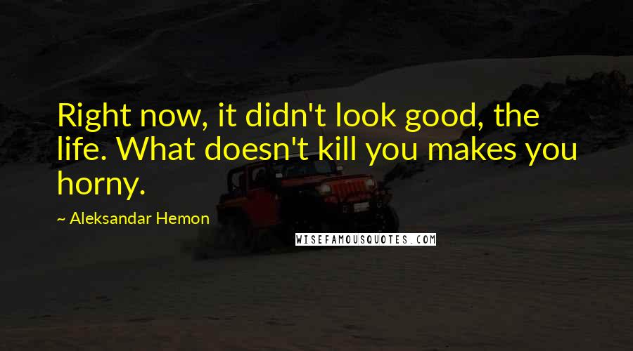 Aleksandar Hemon Quotes: Right now, it didn't look good, the life. What doesn't kill you makes you horny.