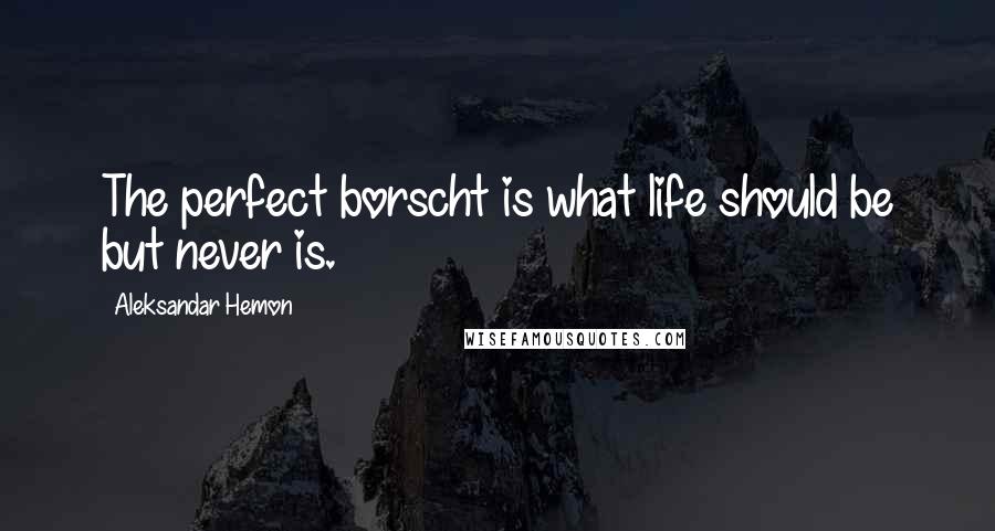 Aleksandar Hemon Quotes: The perfect borscht is what life should be but never is.