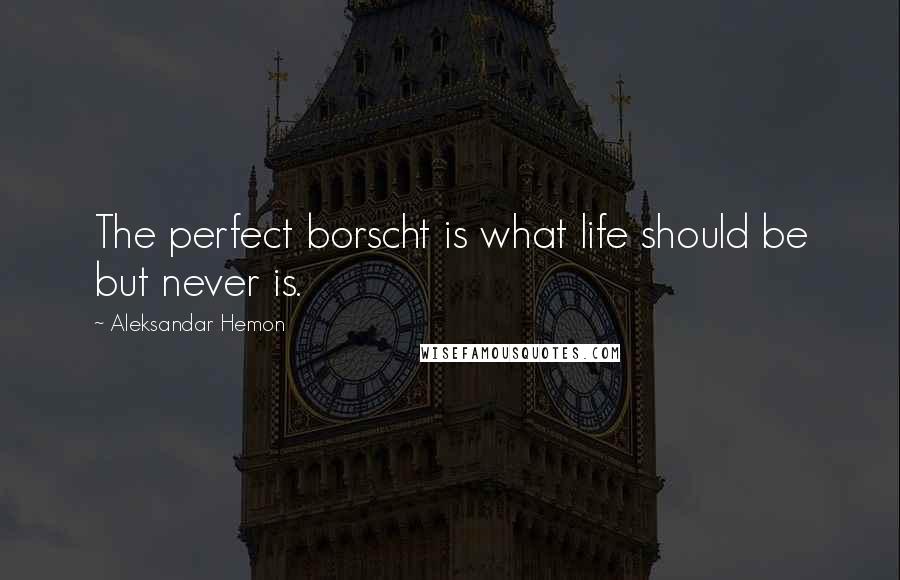 Aleksandar Hemon Quotes: The perfect borscht is what life should be but never is.